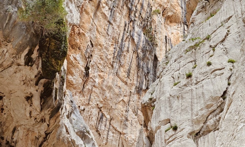 008d265f-47b9-4f90-b9b8-e483bd8ee45b