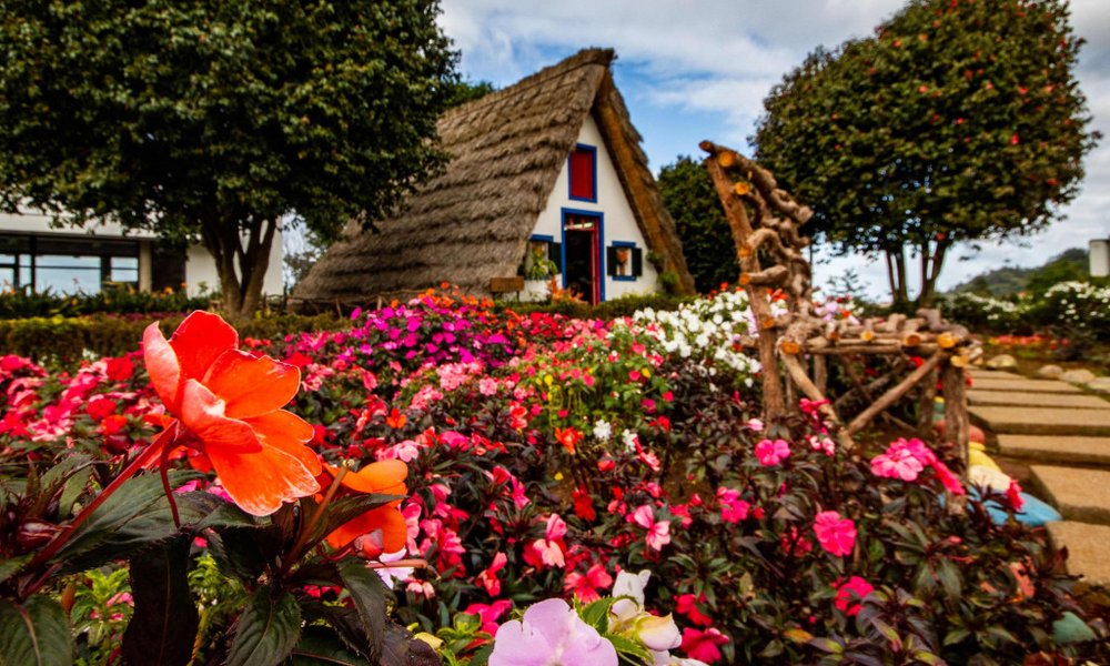 Madeira, za družine - 10005.jpg