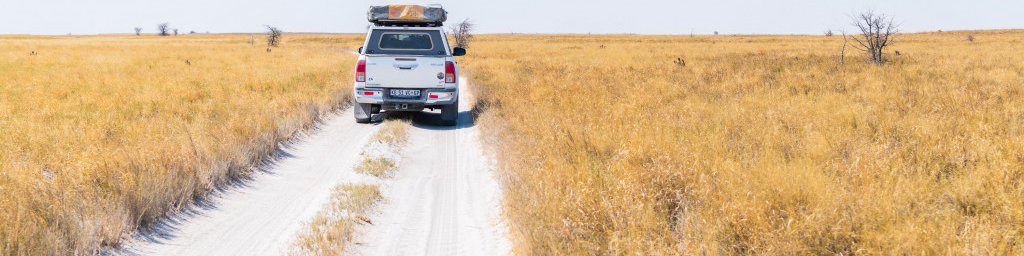 Bocvana, z jeepi