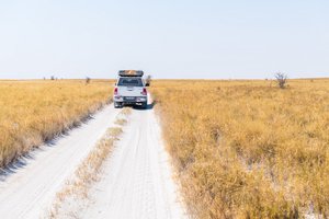 Bocvana, z jeepi - 10024.jpg