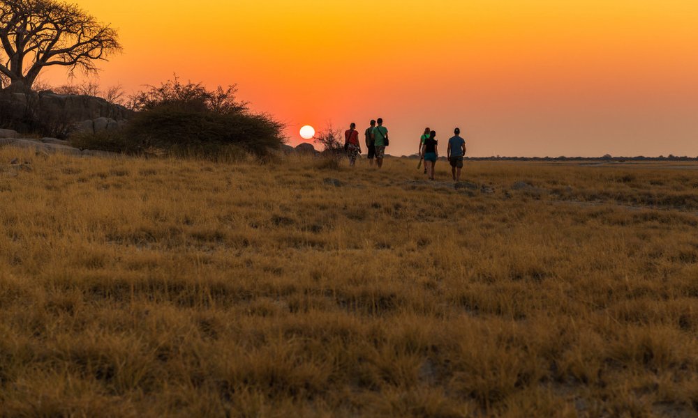 Bocvana, z jeepi - 10027.jpg