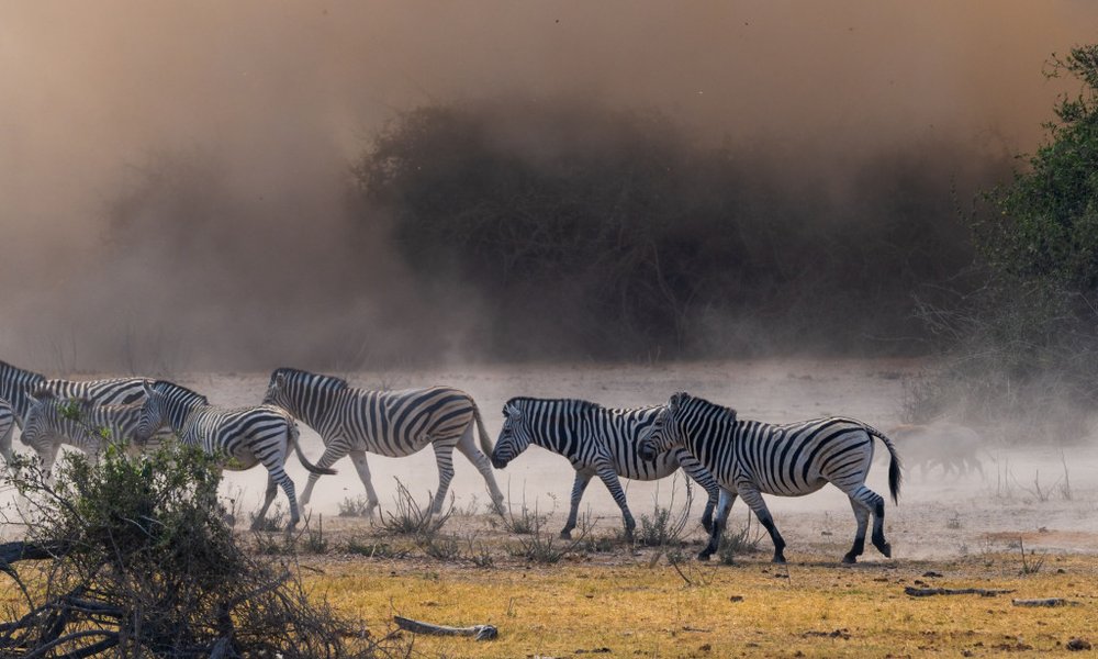 Bocvana, z jeepi - 10033.jpg