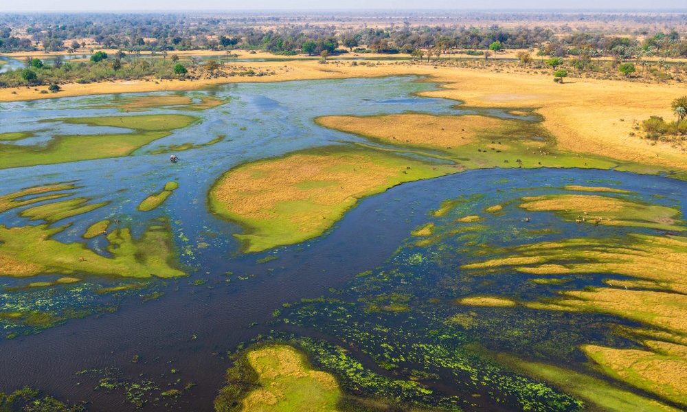 Bocvana, z jeepi - 10043.jpg