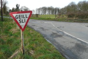 Irska, Guinness, blog - 10057.jpg