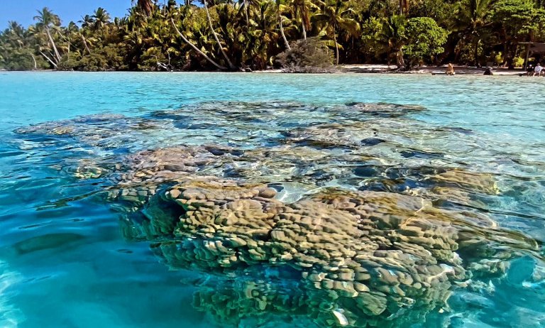 Francoska Polinezija - 10157.jpeg