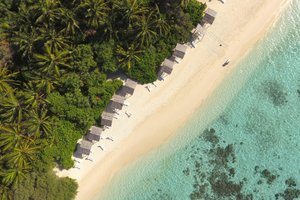 Maldivi otok Thinadhoo - 10252.JPG