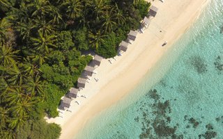 Maldivi otok Thinadhoo - 10252.JPG