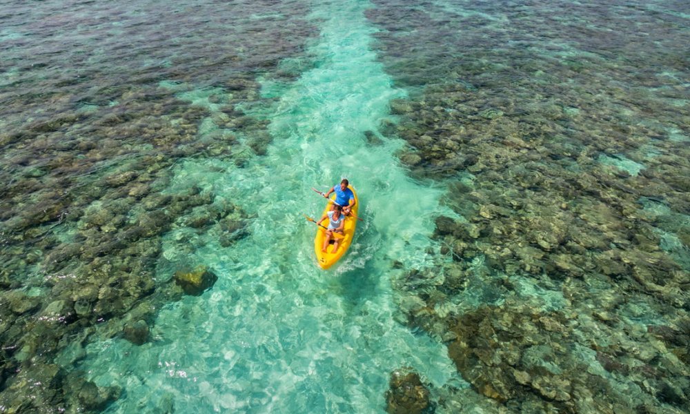 Maldivi otok Thinadhoo - 10275.jpg