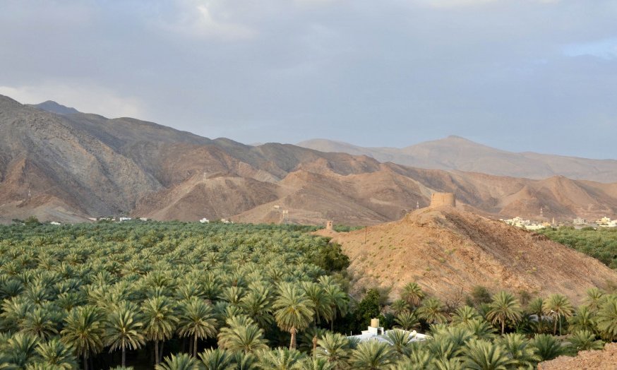 Oman, za družine - 10323.jpg