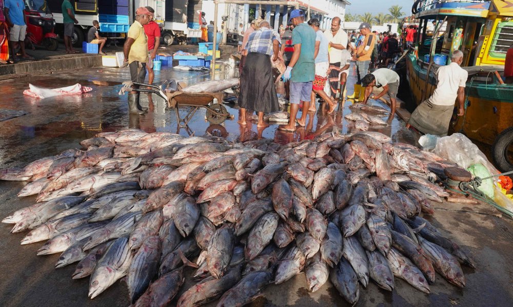 Šri Lanka in Maldivi, za družine - 10399.jpg