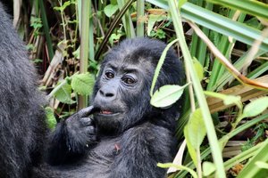 Dia FEST no.16 - festival popotništva in popotne fotografije - 10678.jpeg