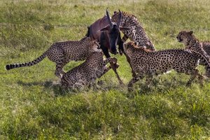 Dia FEST no.16 - festival popotništva in popotne fotografije - 10681.jpg