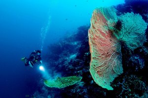 Dia FEST no.16 - festival popotništva in popotne fotografije - 10708.jpg