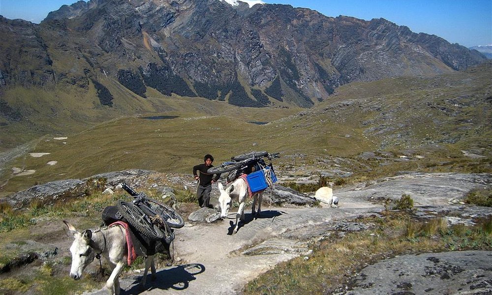 Na treku nam gor nosijo bicikle kar osli, C. Blanca