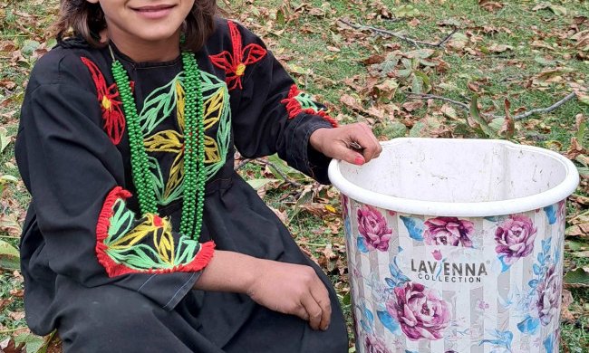 Kalašinja nabira orehe za ozimnico.