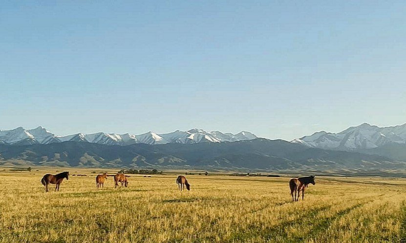 Kazahstan in Kirgizija - 10983.jpg