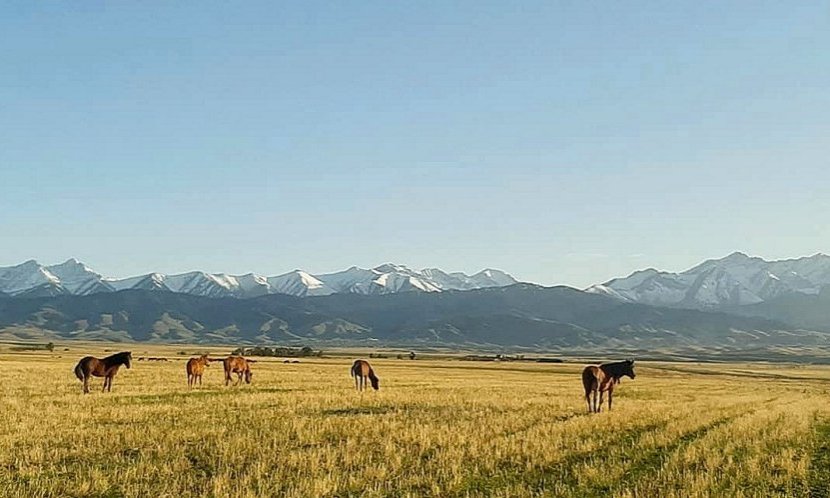 Kazahstan in Kirgizija - 10983.jpg