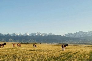 Kazahstan in Kirgizija - 10983.jpg