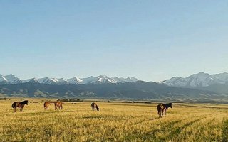 Kazahstan in Kirgizija - 10983.jpg