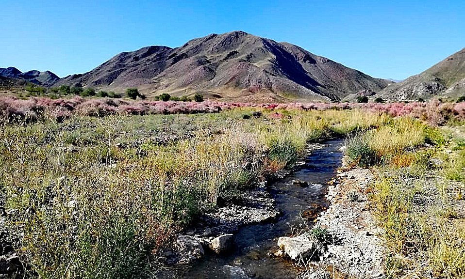 Kazahstan in Kirgizija - 10988.jpg