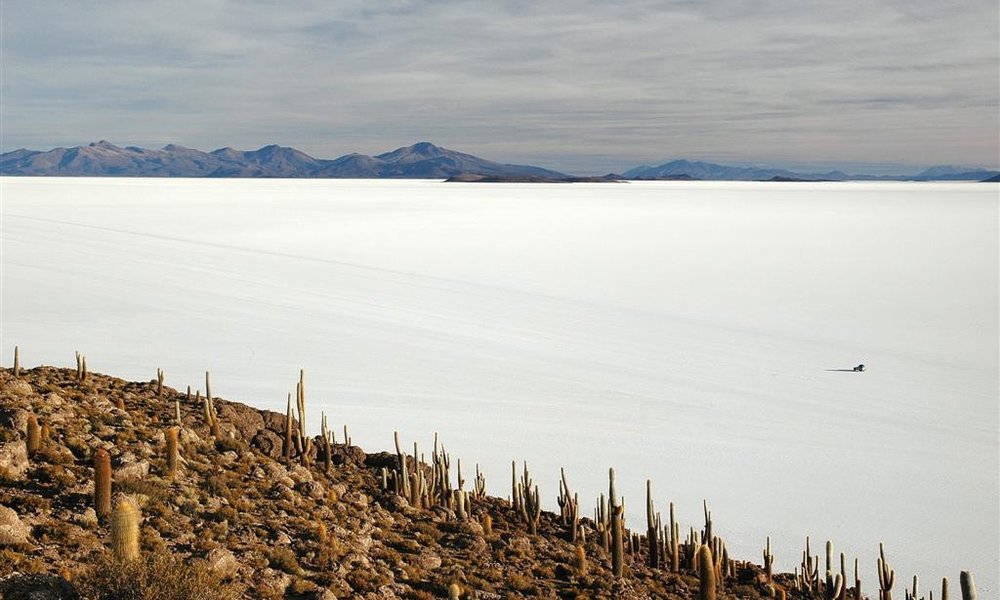 Otok kaktusov sredi Salar de Uyunija