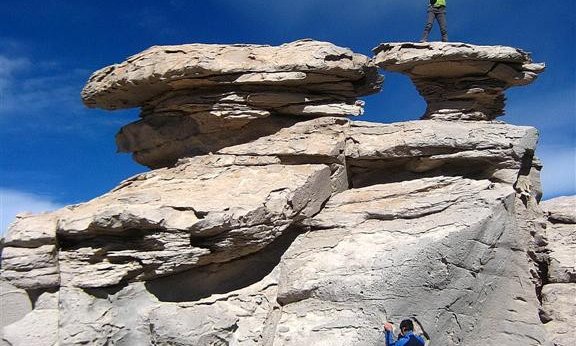 Skalnato drevo in slovenski spajdrmeni