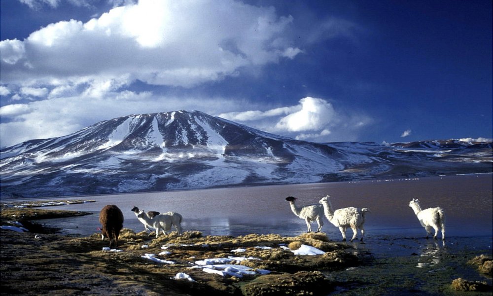 Laguna Colorada, 4200m
