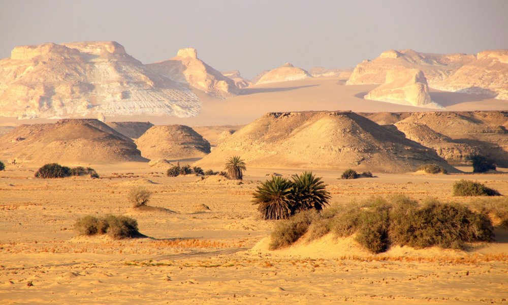 Egipt: Best-of (Zahodne puščave, dolina Nila in Sinaj) - 11692.JPG