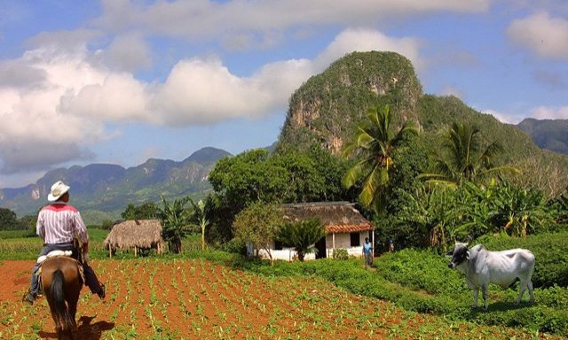 Najlepša pokrajina na Kubi, Vinales