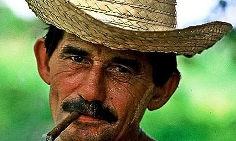 Najboljši tobak raste v okolici Vinalesa