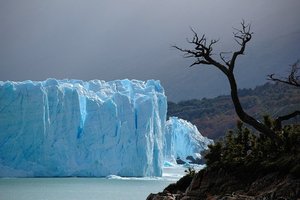 Patagonija - 1182.jpg