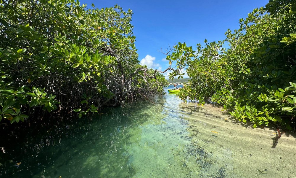 Portoriko - 11855.jpeg