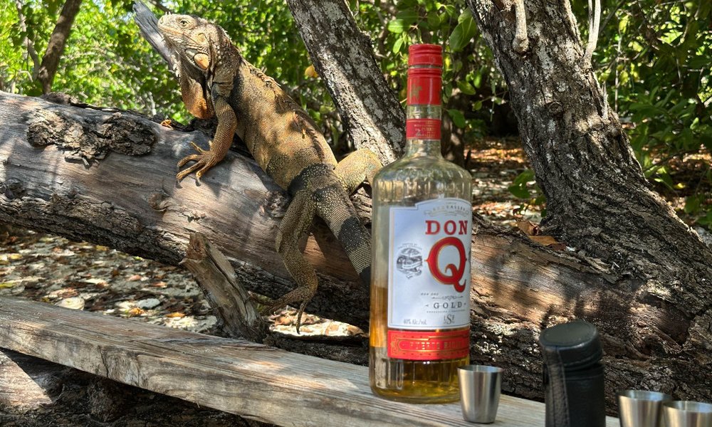 Portoriko - 11856.jpeg