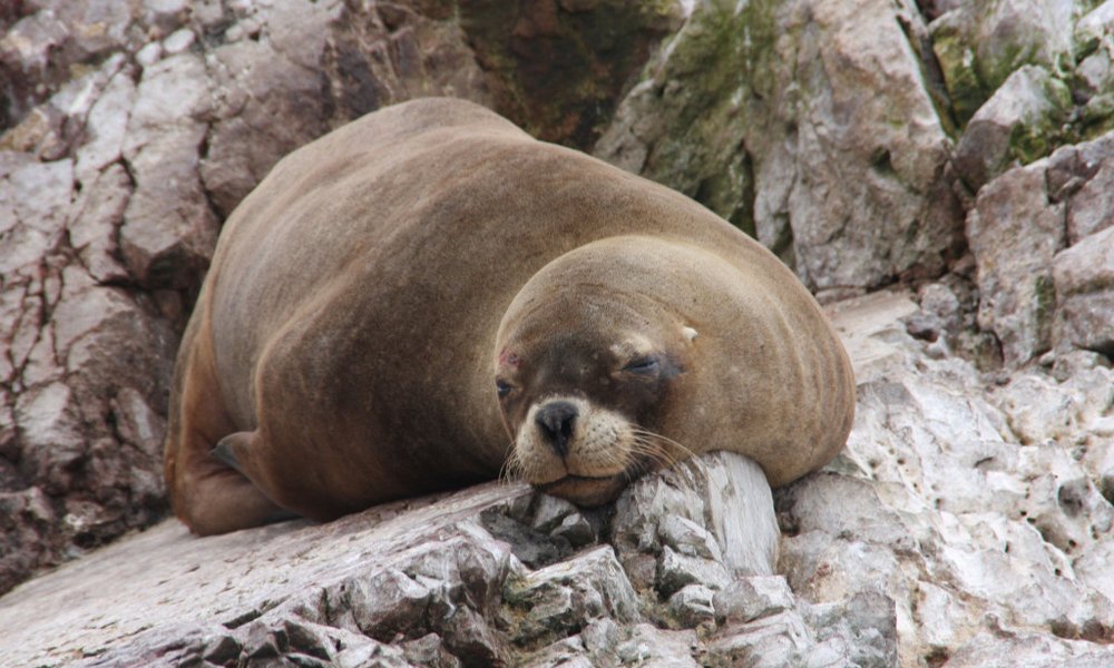 Peru za družine - 11907.JPG