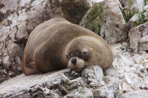 Peru za družine - 11907.JPG