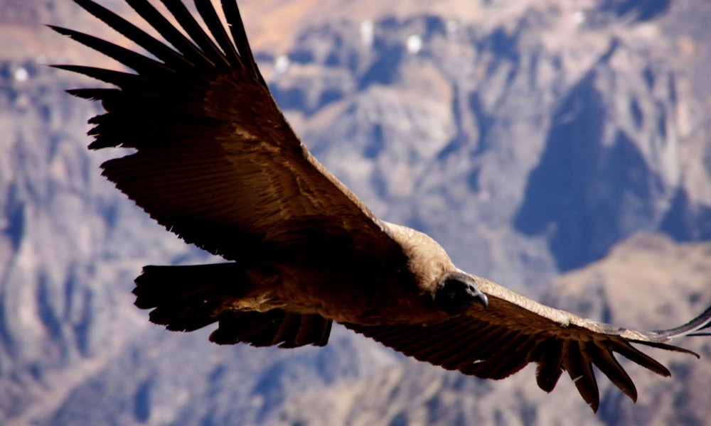 Peru za družine - 11908.JPG