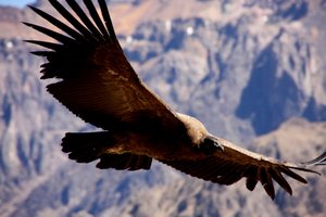 Peru za družine - 11908.JPG