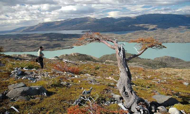 Pogled na jezero Nordenskjold