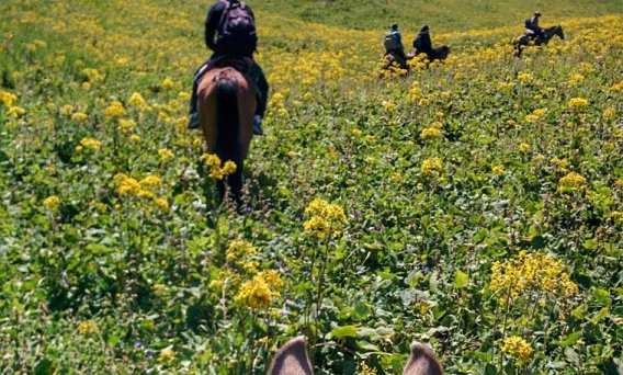 Kirgizija (Kirgistan) xpress - 12038.jpeg