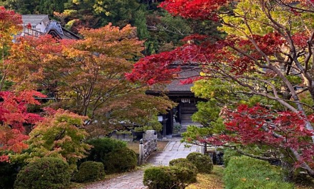 Japonska, podeželje - 12052.jpeg