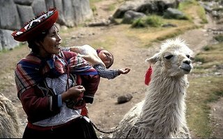 Mama in lama