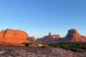 Savdska Arabija, avantura za posvečene - 12096.JPG