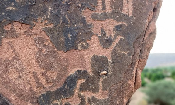 Savdska Arabija, avantura za posvečene - 12099.JPG