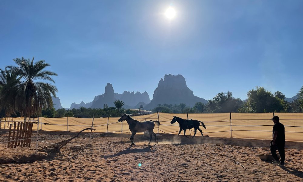 Savdska Arabija, avantura za posvečene - 12103.JPG