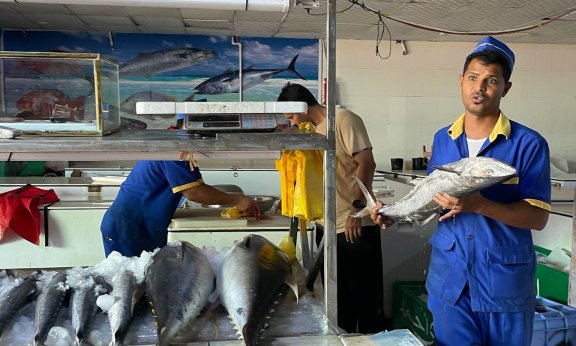 Savdska Arabija, avantura za posvečene - 12125.JPG