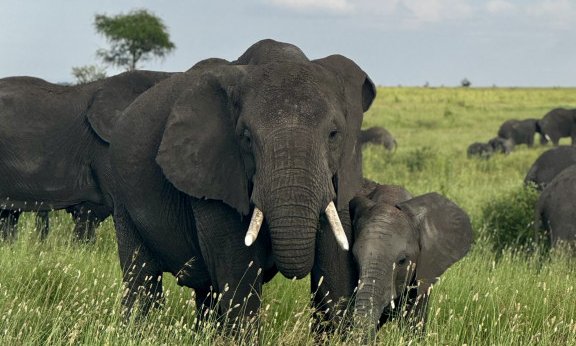 Zanzibar, za mlade - 12150.jpg