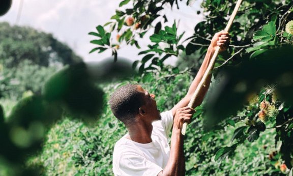 Zanzibar, za mlade - 12155.jpg