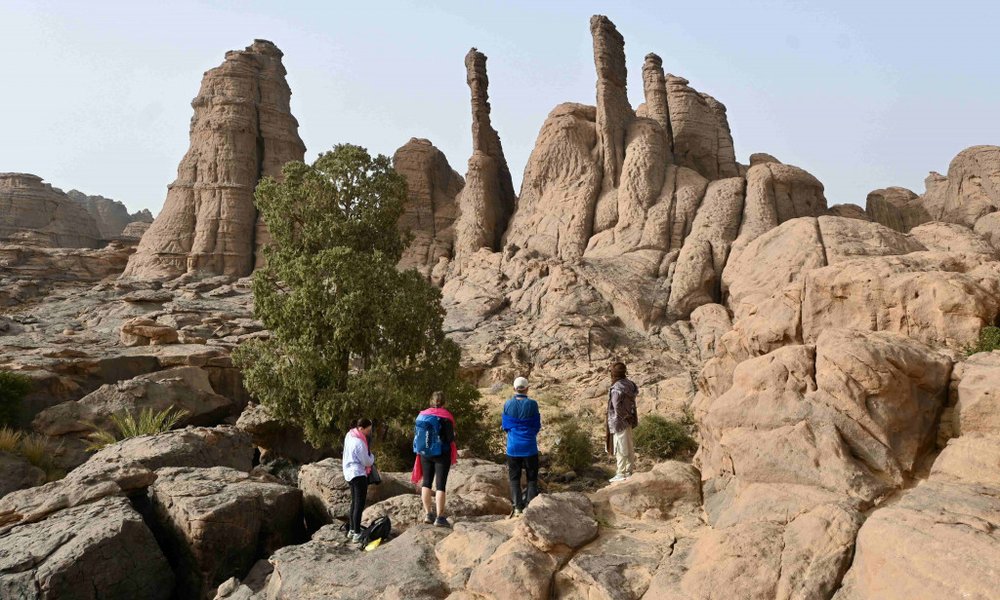 Skalni gozd planote Tassili