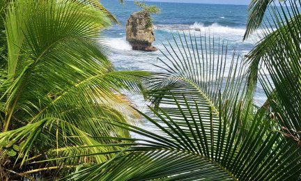 Kostarika - 12216.jpg