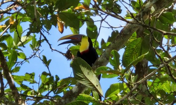 Kostarika - 12226.JPG